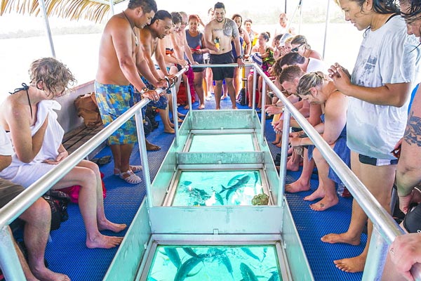 Glass Bottom Boat Ride